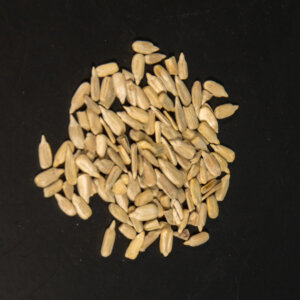 Sunflower Seeds Australian  organic 250g